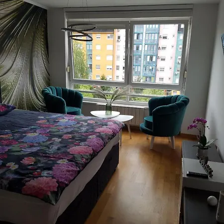 Greco Stupine B10 * توزلا